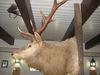Click to view