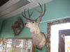 Click to view