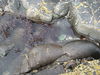 Click to view