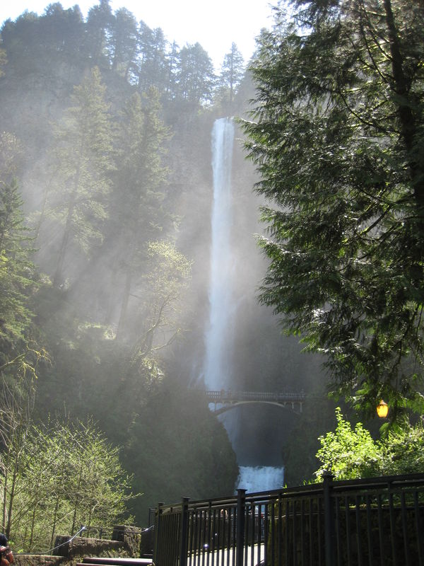 Click to view the next picture
