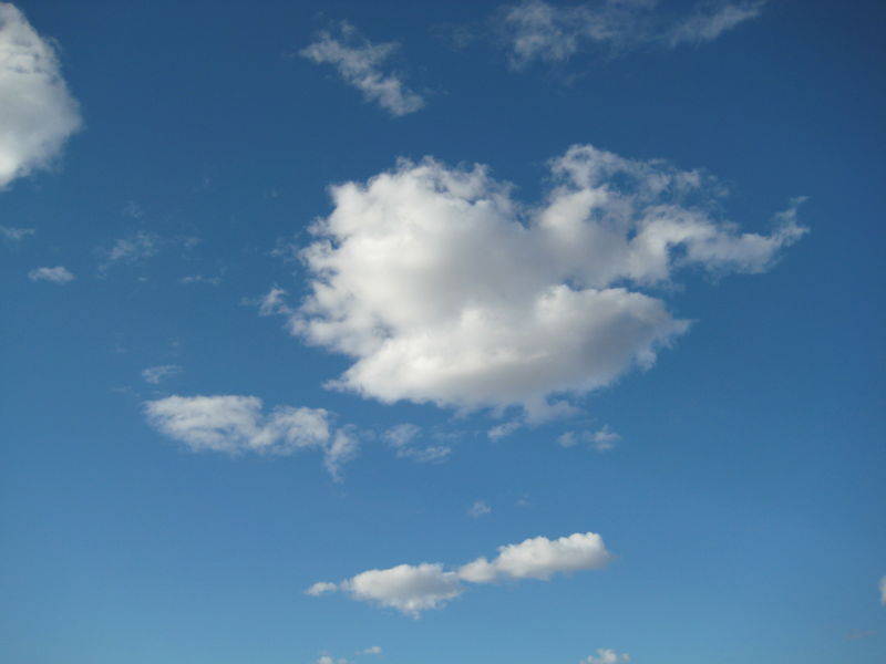 Click to view the next picture