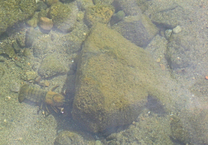 Click to view the next picture