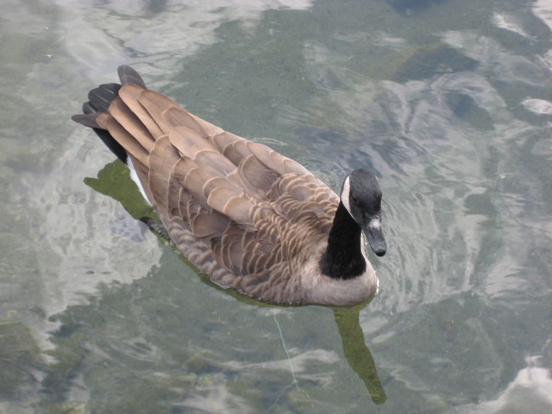 Click to view the next picture